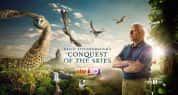 BBC自然科学纪录片《大卫爱登堡之翔服天空 David Attenborough’s Conquest of the Skies》全3集 720P/1080i高清纪录片-高清标清1080P720P360P迅雷BT网盘下载