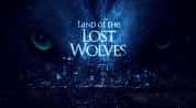 BBC自然生态纪录片《狼群失落之地 Land of the Lost Wolves》全2集 720P/1080i高清纪录片-高清标清1080P720P360P迅雷BT网盘下载