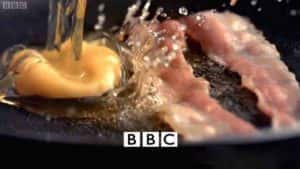 BBC美食文化纪录片《烹饪造就人类吗 Did Cooking Make Us Human》全1集 标清纪录片资源-高清标清1080P720P360P迅雷BT网盘下载