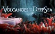 IMAX自然生态纪录片《深海火山 Volcanoes of the Deep Sea》全1集 720P/1080P高清纪录片-高清标清1080P720P360P迅雷BT网盘下载