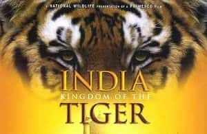 IMAX动物保护纪录片《印度 老虎王国 India: Kingdom of the Tiger》全1集 720P/1080i高清纪录片资源-高清标清1080P720P360P迅雷BT网盘下载