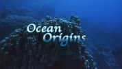 IMAX生命探索纪录片《生命的起源 Ocean Origins》全1集 720P/1080i高清纪录片-高清标清1080P720P360P迅雷BT网盘下载