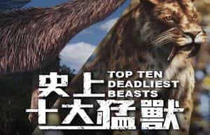 BBC野生动物纪录片《十大最致命的野兽 Top Ten Deadliest Beasts》全2集 720P/1080i高清纪录片资源-高清标清1080P720P360P迅雷BT网盘下载