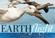 BBC自然生态纪录片《鸟瞰地球 Earthflight》全6集 720P/1080i高清纪录片资源-高清标清1080P720P360P迅雷BT网盘下载