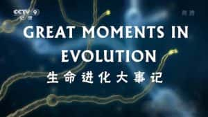 央视生物纪录片《生命进化大事记 Great Monments In Evolution》全2集 720P/1080i高清纪录片资源-高清标清1080P720P360P迅雷BT网盘下载