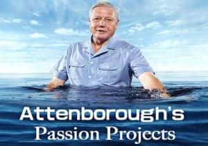 BBC科学探索纪录片《爱登堡的兴趣项目 Attenborough’s Passion Projects》全4集 720P/1080i高清纪录片资源-高清标清1080P720P360P迅雷BT网盘下载