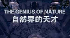 CCTV央视仿生学纪录片《自然界的天才 The Genius Of Nature》全3集 720P/1080i高清纪录片资源-高清标清1080P720P360P迅雷BT网盘下载