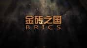 CCTV央视社会人文纪录片《金砖之国 BRICS》全9集 标清纪录片-高清标清1080P720P360P迅雷BT网盘下载