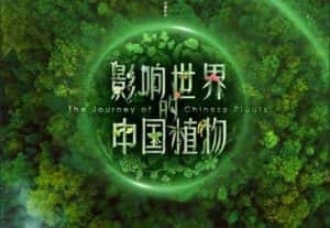 央视植物纪录片《影响世界的中国植物 The Journey of Chinese Plants》全10集 720P/1080i高清纪录片资源-高清标清1080P720P360P迅雷BT网盘下载