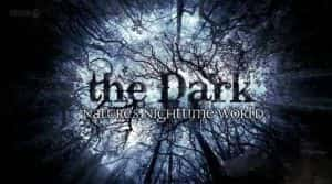 央视夜行动物纪录片《黑暗中的自然界 The Dark: Nature’s Nighttime World》全3集 720P/1080i高清纪录片资源-高清标清1080P720P360P迅雷BT网盘下载