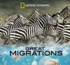 国家地理野生动物纪录片《大迁徙 Great Migrations》全6集 720P/1080i高清纪录片-高清标清1080P720P360P迅雷BT网盘下载