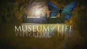 BBC博物馆纪录片《生命博物馆 Museum of Life》全6集 ​720P/1080i高清纪录片-高清标清1080P720P360P迅雷BT网盘下载