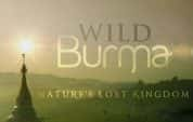 BBC自然生态纪录片《野性缅甸-失落的自然王国 Wild Burma: Nature’s Lost Kingdom》第1季 720P/1080i高清纪录片-高清标清1080P720P360P迅雷BT网盘下载