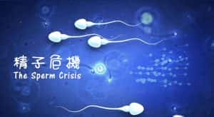 NHK生命探索纪录片《精子危机 The Sperm Crisis》全1集 720P/1080i高清纪录片资源-高清标清1080P720P360P迅雷BT网盘下载