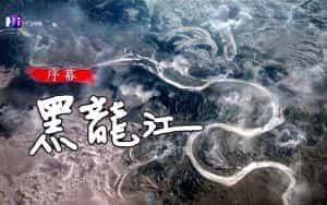 KBS黑龙江自然生态纪录片《阿穆尔河 Amur》全5集 720P/1080i高清纪录片资源-高清标清1080P720P360P迅雷BT网盘下载