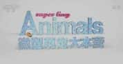 萌宠纪录片《微型萌宠大本营 Super Tiny Animals》全3集 720P/1080i高清纪录片-高清标清1080P720P360P迅雷BT网盘下载