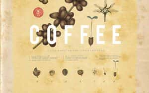 咖啡纪录片《一部关于咖啡的电影 A Film about Coffee》全1集 720P/1080i高清纪录片资源-高清标清1080P720P360P迅雷BT网盘下载