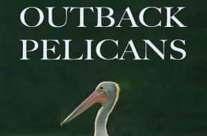 PBS自然生态纪录片《内陆鹈鹕 Outback Pelicans》全1集 720P/1080i纪录片资源-高清标清1080P720P360P迅雷BT网盘下载