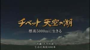 NHK自然地理纪录片《天上的圣湖 普莫雍错》全1集 标清纪录片资源-高清标清1080P720P360P迅雷BT网盘下载