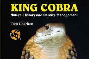 国家地理自然生物纪录片《眼镜王蛇 King Cobra》全1集 720P/1080i高清纪录片资源-高清标清1080P720P360P迅雷BT网盘下载