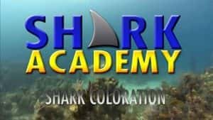 鲨鱼纪录片《鲨鱼学院 Shark Academy》全7集 720P/1080i高清纪录片资源-高清标清1080P720P360P迅雷BT网盘下载