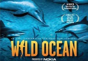 IMAX海洋生态纪录片《野性海洋 Wild Ocean 2008》全1集 720P/1080i高清纪录片资源-高清标清1080P720P360P迅雷BT网盘下载