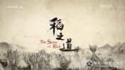 CCTV央视稻米文化纪录片《稻之道 The Story of Rice》全6集 720P/1080i高清纪录片-高清标清1080P720P360P迅雷BT网盘下载