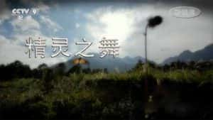 央视蝴蝶纪录片《精灵之舞》全2集 720P/1080i高清纪录片资源-高清标清1080P720P360P迅雷BT网盘下载