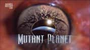 探索频道生命探索纪录片《变异星球 Mutant Planet》全6集 720P/1080i高清纪录片-高清标清1080P720P360P迅雷BT网盘下载