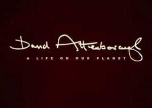 Netflix自然生态纪录片《大卫·爱登堡：地球上的一段生命旅程 David Attenborough: A Life on Our Planet》全1集 720P/1080i高清纪录片资源-高清标清1080P720P360P迅雷BT网盘下载