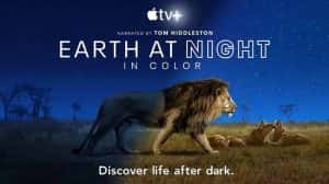 野生动物纪录片《夜色中的地球 Earth at Night in Color》第1季中字 720P/1080i高清纪录片资源-高清标清1080P720P360P迅雷BT网盘下载