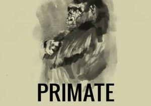 生物研究纪录片《灵长类 Primate》全1集中字 标清纪录片资源-高清标清1080P720P360P迅雷BT网盘下载