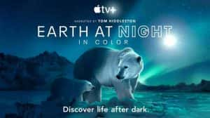 野生动物纪录片《夜色中的地球 Earth at Night in Color》第2季中字 2K/1080i高清纪录片资源-高清标清1080P720P360P迅雷BT网盘下载