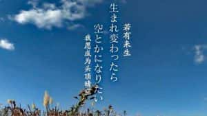 NHK犯罪悬疑纪录片《暗网杀人案的十年历程》全1集中字 720P/1080i高清纪录片资源-高清标清1080P720P360P迅雷BT网盘下载