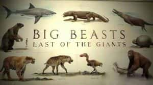 央视野生动物保护纪录片《终极巨兽档案 Big Beasts: Last of the Giants》全3集 TS/蓝光高清纪录片资源-高清标清1080P720P360P迅雷BT网盘下载