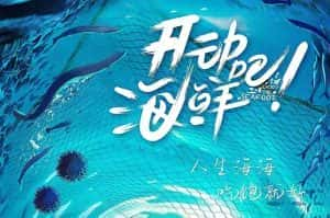 美食纪录片《开动吧！海鲜》全24集 720P/1080i高清纪录片资源-高清标清1080P720P360P迅雷BT网盘下载