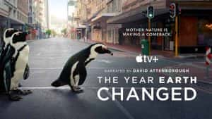 Apple TV+自然生态纪录片《地球改变之年 The Year Earth Changed》全1集中字 720P/1080i高清纪录片资源-高清标清1080P720P360P迅雷BT网盘下载