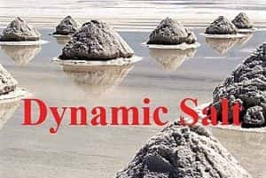 清洁新能源纪录片《动力之盐 Dynamic Salt》全1集原版 720P/1080i高清纪录片资源-高清标清1080P720P360P迅雷BT网盘下载