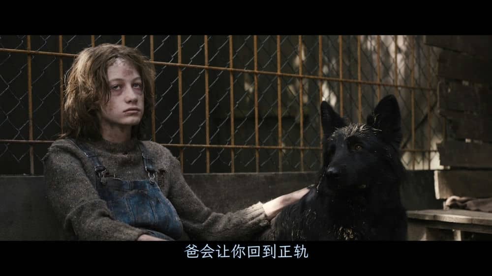 [2023][法国][犯罪][BT下载][狗神][BD-MKV/9.66GB][中字][1080P][吕克贝松2023高分必看年度神作]