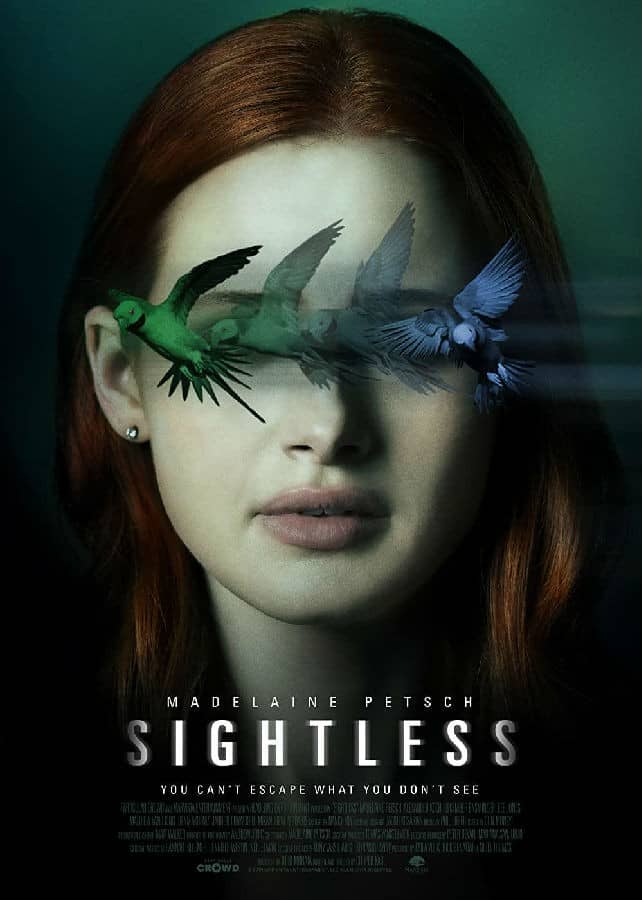 [2020][欧美][惊悚][BT下载][迷盲 Sightless][HD-MKV/2.02G][英语中字][1080P]