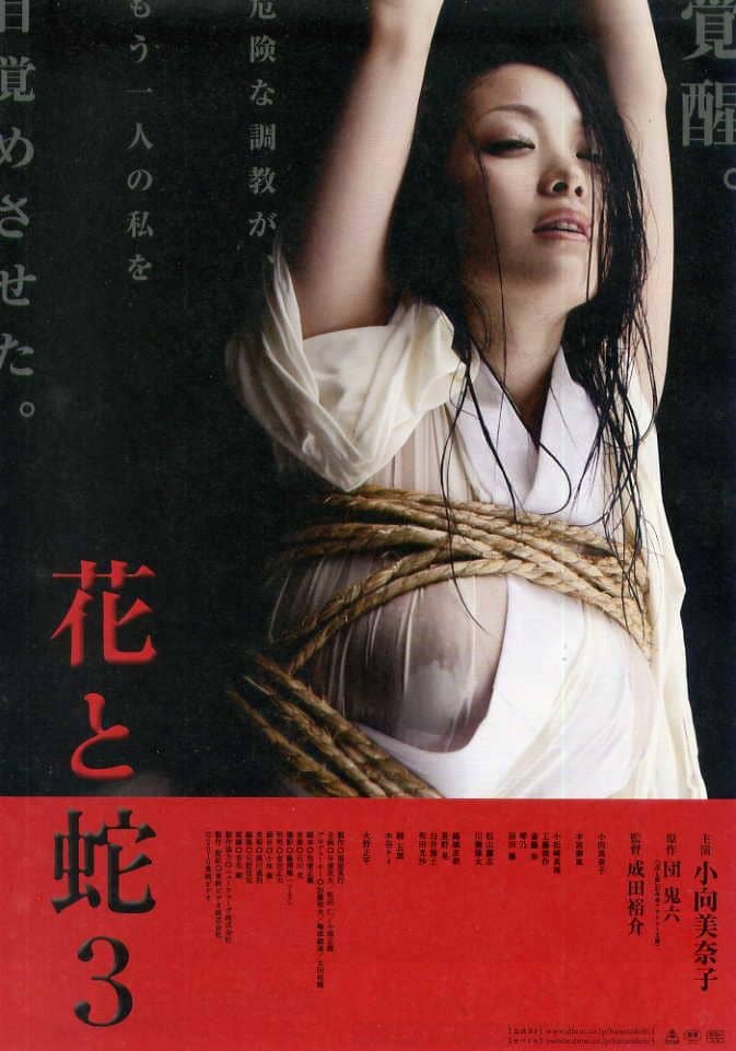 [系列][日本][剧情][BT下载][花与蛇(4部序列全集) Flower and Snake1-4 2004-2010][BD-MKV/12G][日语中字]