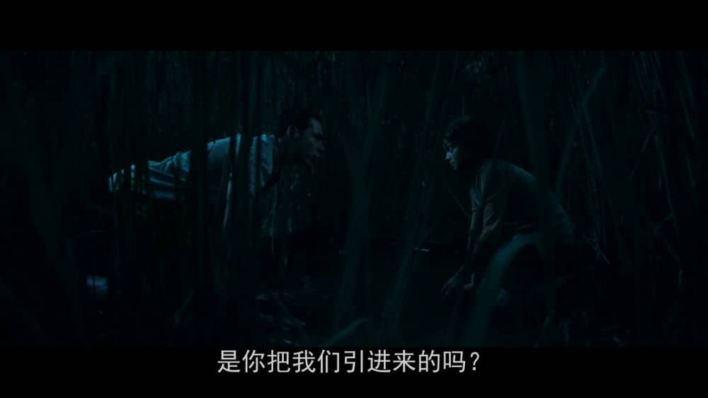 [2019][欧美][科幻][BT下载][高草丛中][WebDL-720p.MP4/1.55GB][中字][加2019最新时空交错惊悚好片]