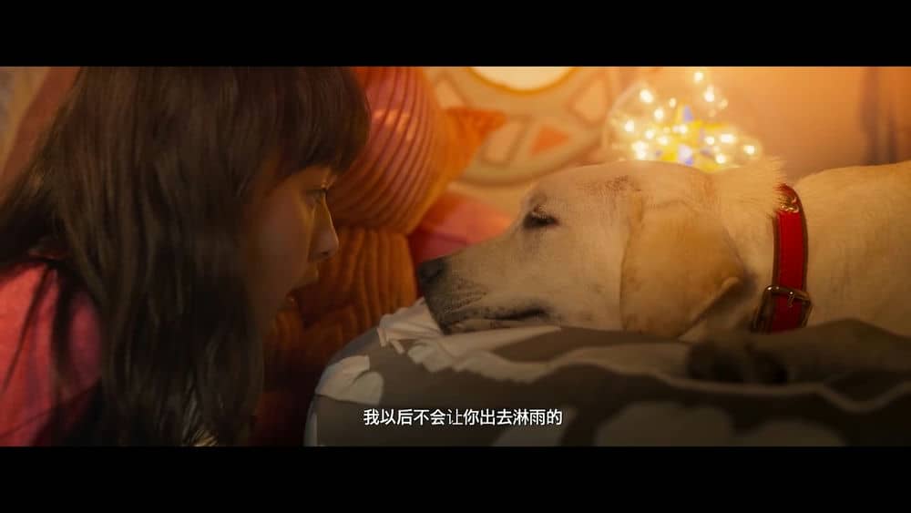 [2019][大陆][剧情][BT下载][小Q][WebDL-720p.MP4/1.56GB][国语][任达华梁咏琪2019超感人好评剧情]