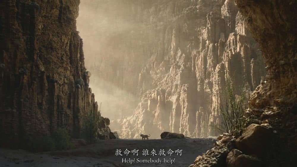 [2019][欧美][动画][BT下载][狮子王·真狮版(美版全屏原声) The Lion King 2019][BD-MKV/2.6G][中英字幕][全球经典史诗巨制]