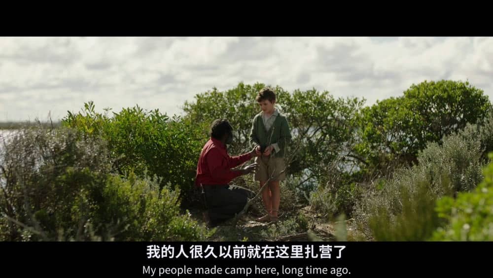 [2019][欧美][剧情][BT下载][鹈鹕的故事][BD-MP4/2G][英语中字][1080P][豆瓣7.4分值得一看]