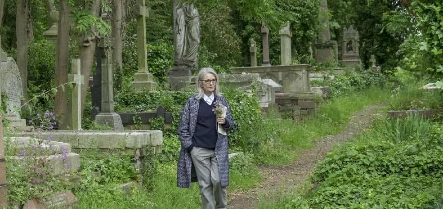 [2017][欧美][爱情][BT下载][汉普斯特德公园 Hampstead][HD-MKV/2.3G][英语中字][1080P]