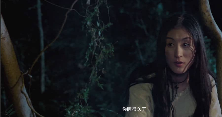 [2019][大陆][动作][BT下载][黑战][HD-MP4/0.56G][国语中字][720P][回国惨遭陷害亡命丛林]