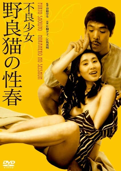 [日本][喜剧][BT/网盘/电驴下载][不良少女 野良猫的性春][DVD-MKV/388MB][日语中字][MiniSD]