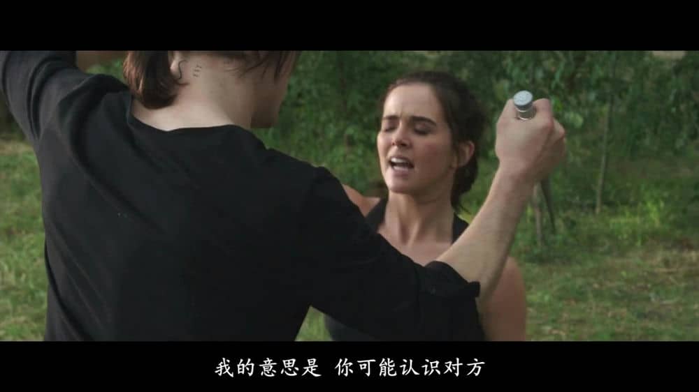 [2014][欧美][奇幻][BT下载][吸血鬼学院：嗜血姐妹][BD-MP4/1.35G][中文字幕内嵌][720P高清版]