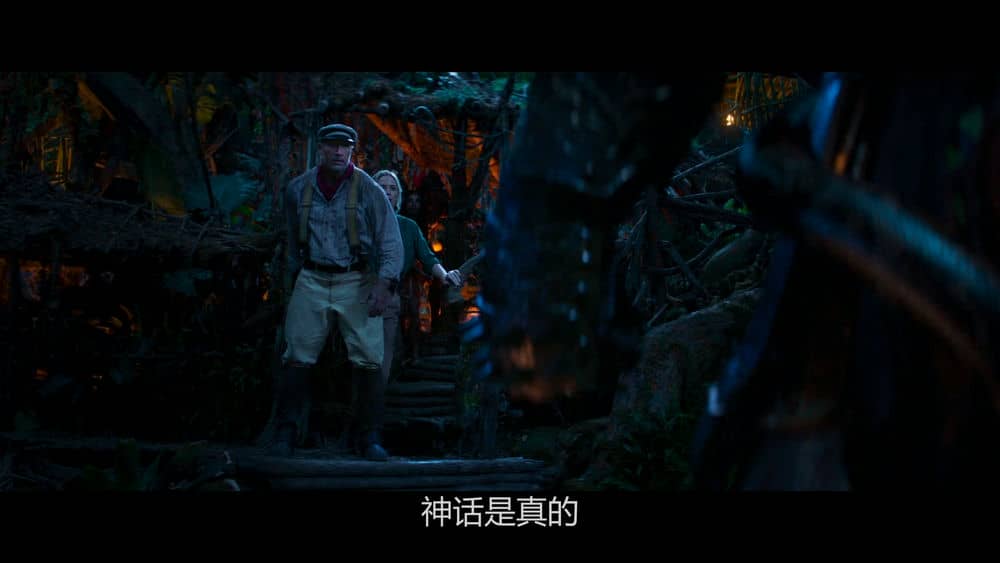 [2021][欧美][动作][纯净版][BT下载][丛林奇航][BD-MKV/11.3GB][中字][1080P][巨石强森2021动作奇幻巨制]